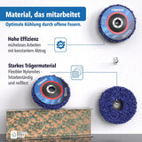 Reinigungsscheiben 5er Set für rückstandsfreie Reinigung old