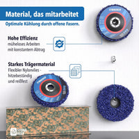 Reinigungsscheiben 5er Set für rückstandsfreie Reinigung old