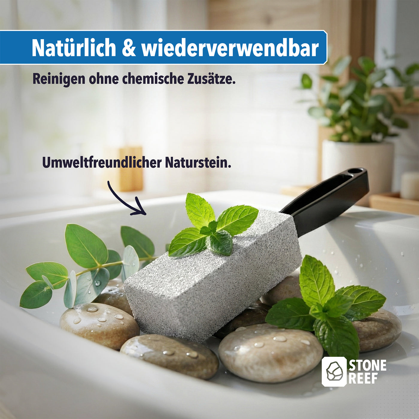 Größe und Form des Bimssteins im Überblick – STONE REEF